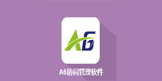 A6协同管理软件（致远OA）