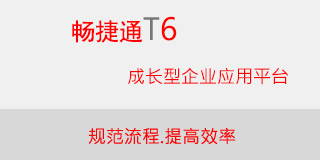 用友T6-企业管理软件