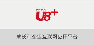 用友ERP-U8企业管理软件