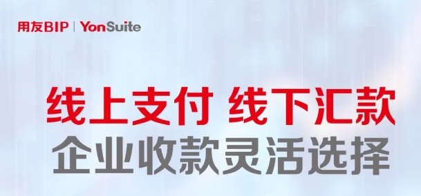 用友财务软件功能介绍：线上支付，线下汇款